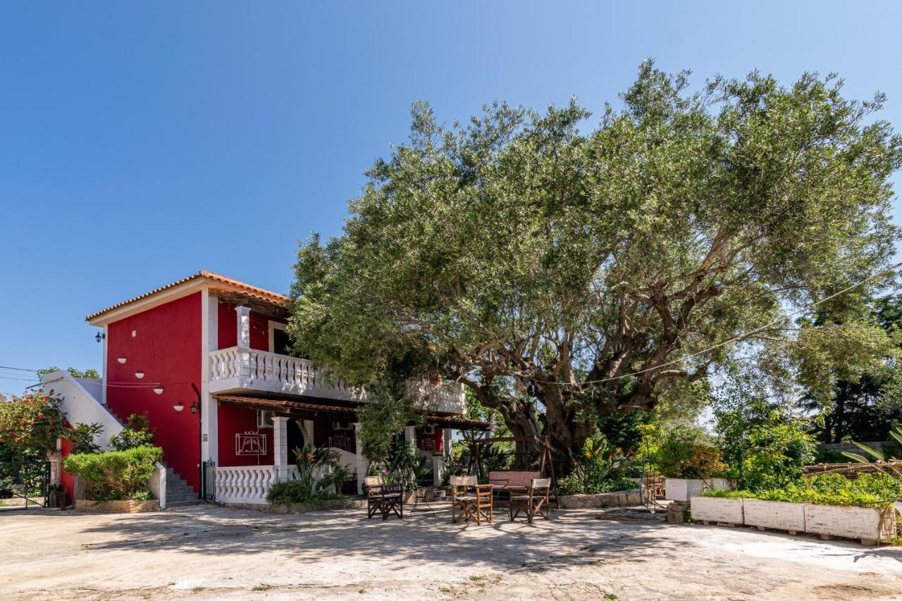 Vasilikí Dopia'S Garden Studios מראה חיצוני תמונה